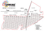 CanineMax Dog Olympics 2012